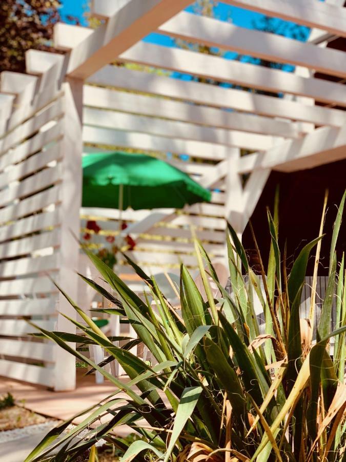 Nadi'S Holiday Home - Heart Of Woods, Szentendre Island Szigetmonostor Εξωτερικό φωτογραφία